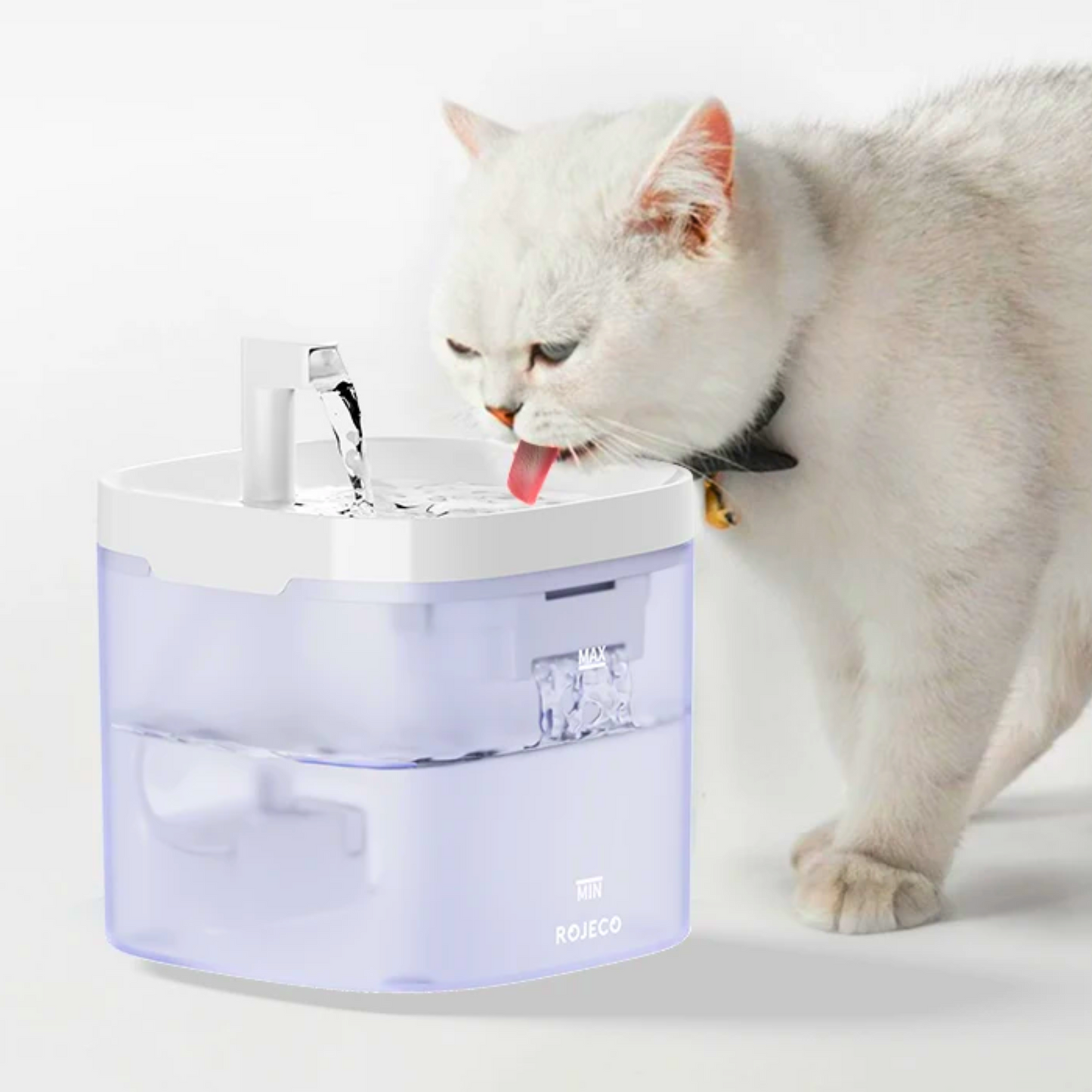 Bebedouro com Filtro Pet - Bebedouro para Gatos - Fonte de Água com Filtro Bebedouro